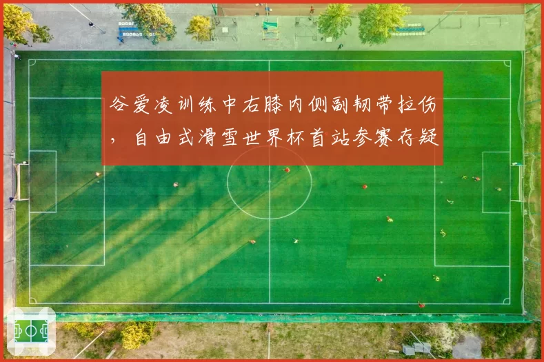 谷爱凌训练中右膝内侧副韧带拉伤，自由式滑雪世界杯首站参赛存疑